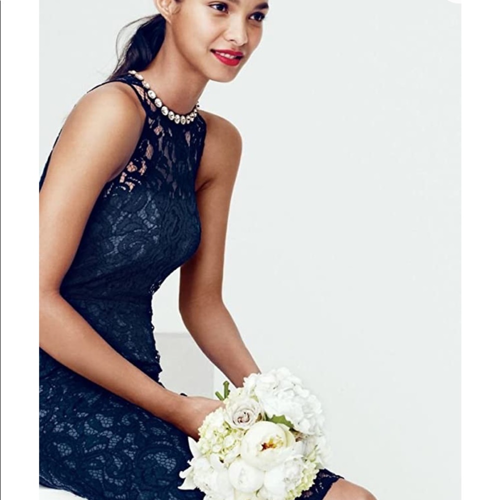 J. Crew Pamela Dress in Leavers Lace, sz10